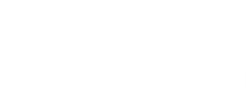 logo opslaghurenassen.nl